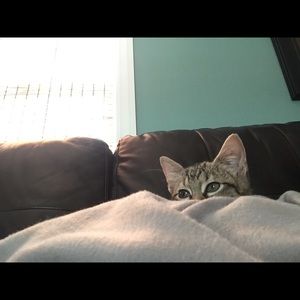 Meet your Posher, April